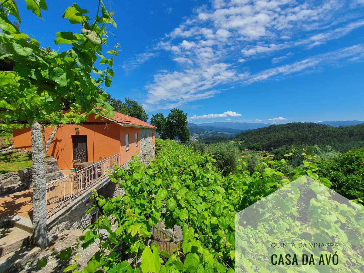 Quinta Da Vinagra Villa Tourim Exterior photo