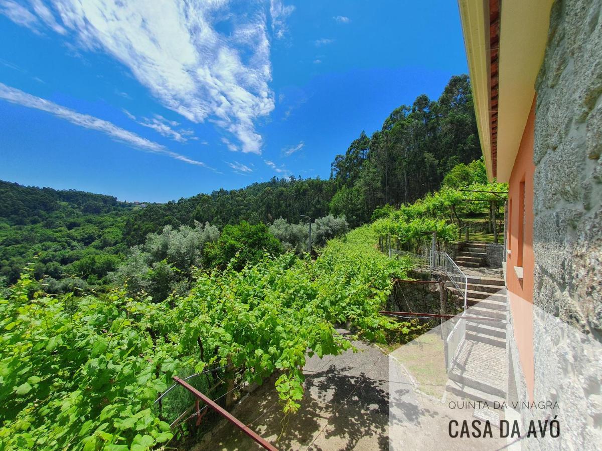 Quinta Da Vinagra Villa Tourim Exterior photo